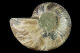 Agatized Ammonite Fossil (Half) - Madagascar #139669-1